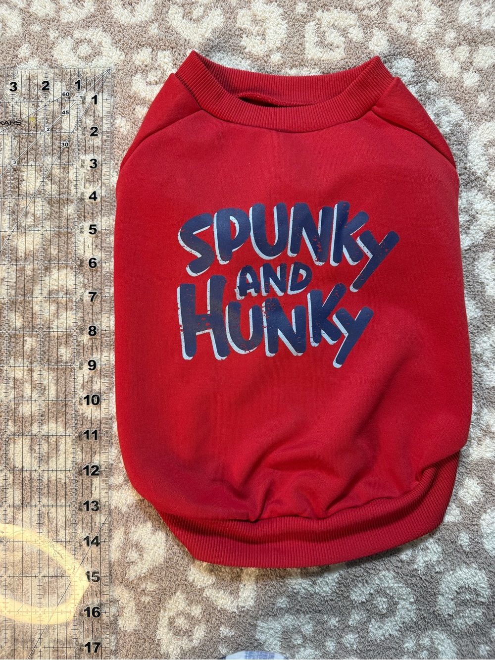Spunky and Hunky Red pet Sweatshirt